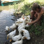 delta-Volgi-ducks-kids