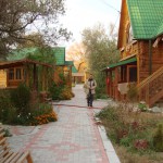 База «Гусь лапчатый»